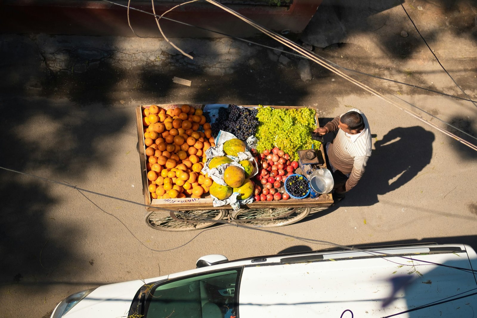 distribucción de frutas